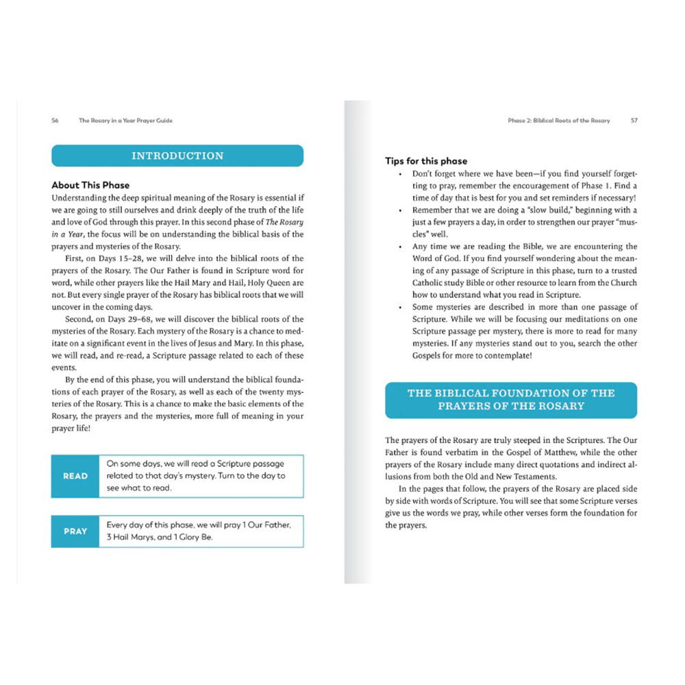 The Rosary in a Year Prayer Guide